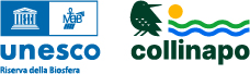 Organizzazione Corso di abilitazione per Operatore selezionato coadiutore ai Piani di controllo demografico delle popolazioni di Cinghiale (Sus scrofa) nelle Aree protette della Regione Piemonte.