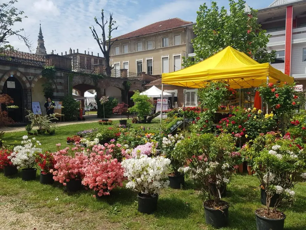 32Âª Mostra Mercato Fiori e Vini